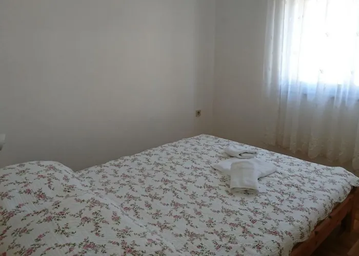 Holiday Matosevic 메덜린